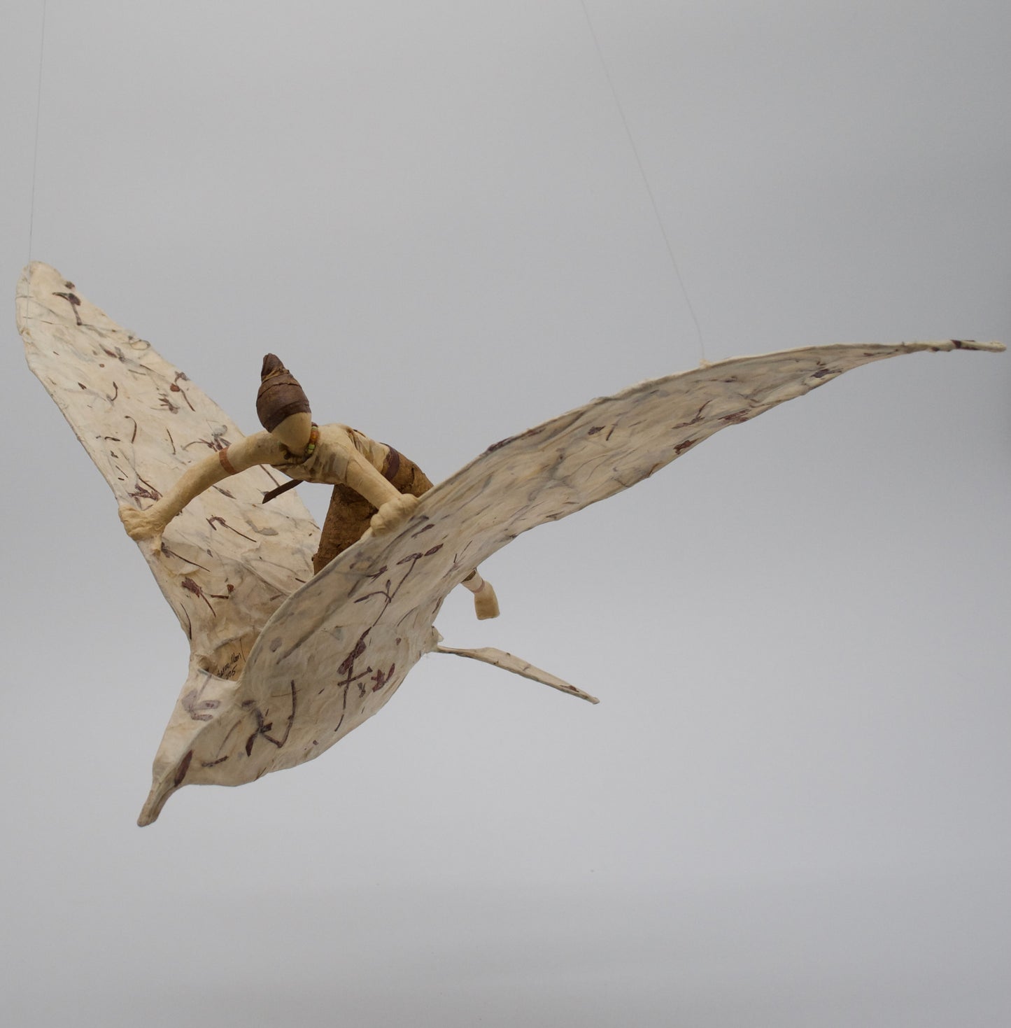 Large Bird - lg.bird1